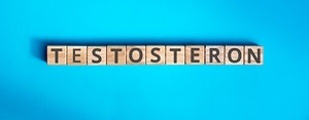 Informationen zu Testosteronmangel bei Männern Wort Testosteron mit Holzklötzen